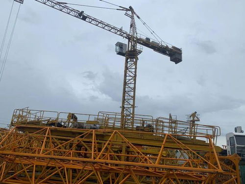 金山有序開展租金減免,為企業(yè)減負(fù)護航