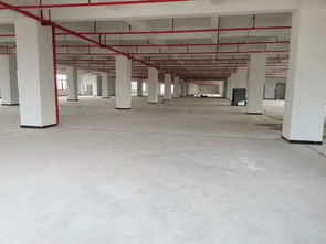 順德食品廠7200平招租,證件齊全,可辦環(huán)評(píng),可分