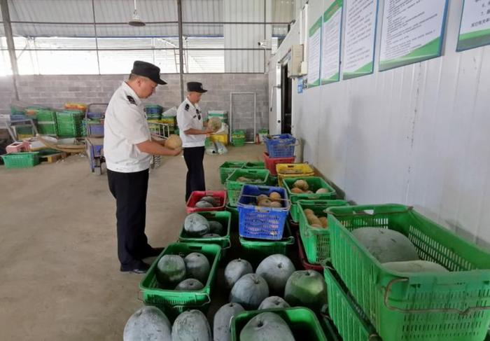 我市著力建設粵港澳大灣區菜籃子果盤子米袋子 食用農產品供給持續升級